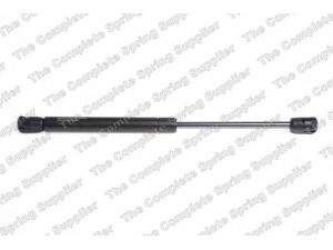ROC GS1529 dujinė spyruoklė, bagažinė 
 Priedai -> Bagažinė/pakrovimo skyrius
817712G000
