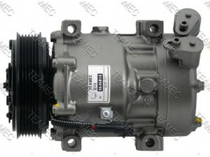TEAMEC 8646014 kompresorius, oro kondicionierius 
 Oro kondicionavimas -> Kompresorius/dalys
6453NK, 6453NL, 6453SC, 6453SE
