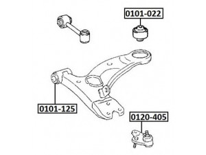 ASVA 0101-125 valdymo svirties/išilginių svirčių įvorė 
 Ašies montavimas/vairavimo mechanizmas/ratai -> Valdymo svirtis/pasukamosios svirties sujungimas -> Montavimas/sutvirtinimas
48068-05041, 48068-05050, 48069-05050