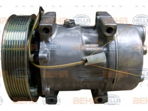 HELLA 8FK 351 135-191 kompresorius, oro kondicionierius 
 Oro kondicionavimas -> Kompresorius/dalys
50 10 605 063, 74 82 492 298