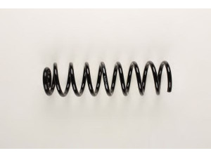 BILSTEIN 37-163761 spyruoklė 
 Pakaba -> Spyruoklės
211 321 05 04