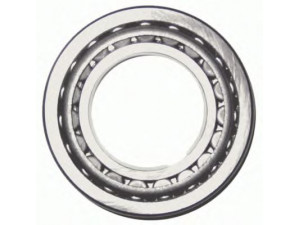 ZF Parts 3029 301 guolis
G 3382156, 0103 2872, F198.300.020.230