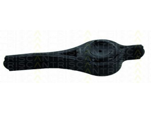 TRISCAN 8500 16579 vikšro valdymo svirtis 
 Ašies montavimas/vairavimo mechanizmas/ratai -> Valdymo svirtis/pasukamosios svirties sujungimas -> Vairo trauklės (valdymo svirtis, išilginis balansyras, diago
1377447, 1381442, 1387627, 1421954