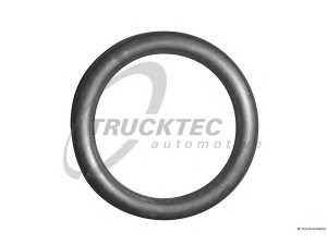 TRUCKTEC AUTOMOTIVE 08.10.040 tarpiklis, aušinimo skysčio vamzdelis
11 53 1 703 848, 1703848