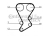 CONTITECH CT875 paskirstymo diržas
1356879035