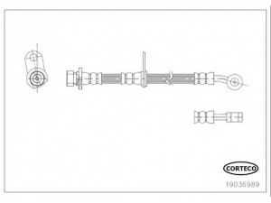 CORTECO 19036989 stabdžių žarnelė
01464TL1G00