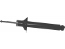 amortizatorius