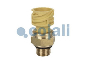 COJALI 2260284 jutiklis
21634017