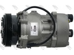 TEAMEC 8600101 kompresorius, oro kondicionierius 
 Oro kondicionavimas -> Kompresorius/dalys
6453G5, 6453NR, 71721757, 98462134