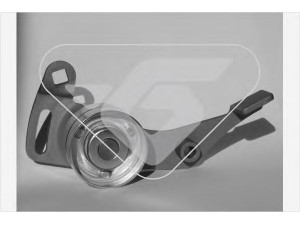 HUTCHINSON HTG 07 įtempiklio skriemulys, paskirstymo diržas 
 Techninės priežiūros dalys -> Papildomas remontas
0829-11, 212151006120, 0829-11