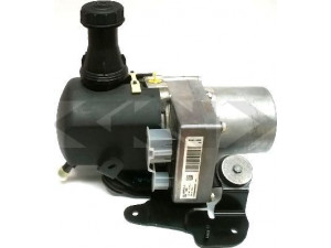 SPIDAN 54611 hidraulinis siurblys, vairo sistema 
 Vairavimas -> Vairo pavara/siurblys
4007QQ, 9682597180