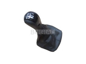 BUGIAD BSP23591 pavarų svirties galvelė 
 Transmisija -> Neautomatinė pavarų dėžė -> Transmisijos valdymas
1Z0 711 141