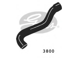 GATES 3800 radiatoriaus žarna 
 Aušinimo sistema -> Žarnelės/vamzdeliai/sujungimai -> Radiatoriaus žarnos
6025002343, 6025008783