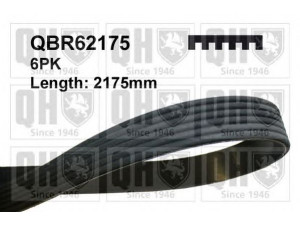QUINTON HAZELL QBR62175 V formos rumbuoti diržai 
 Techninės priežiūros dalys -> Techninės priežiūros intervalai
109975992, 109978292, 89971792