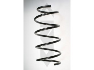 SPIDAN 48454 spyruoklė 
 Pakaba -> Spyruoklės
31 33 1 090 762