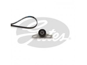 GATES K015PK1113 V formos rumbuotas diržas, komplektas 
 Techninės priežiūros dalys -> Techninės priežiūros intervalai
11720-1773R, 117201773R, 7701477522
