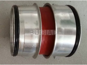 BUGIAD 86613 kompresoriaus padavimo žarna 
 Išmetimo sistema -> Turbokompresorius
1J0145834AB