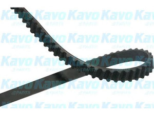 KAVO PARTS DTB-5552 paskirstymo diržas 
 Techninės priežiūros dalys -> Papildomas remontas
MN982125