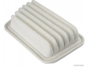 MAGNETI MARELLI 600000033520 oro filtras
17801-B2040, 17801-B2040-000