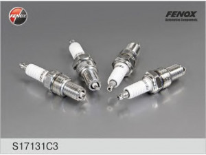 FENOX S17131C3 uždegimo žvakė 
 Techninės priežiūros dalys -> Techninės priežiūros intervalai
2101-0370701-008, 2101-0370701-086