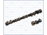skirstomasis velenas