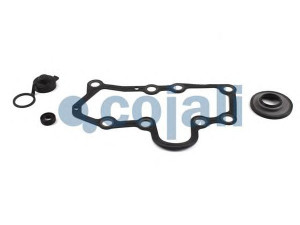 COJALI 6086096 remonto komplektas, stabdžių apkaba
SJ4105
