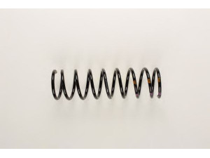 BILSTEIN 36-159062 spyruoklė 
 Pakaba -> Spyruoklės
1003645, 96 FB 5560 DA