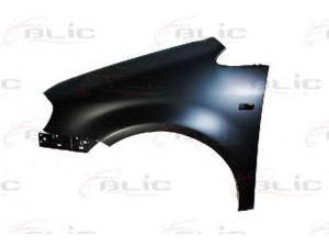 BLIC 6504-04-9571311P sparnas 
 Kėbulas -> Transporto priemonės priekis -> Sparnas/montavimo dalys
2K0821021