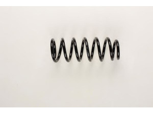 BILSTEIN 36-198313 spyruoklė 
 Pakaba -> Spyruoklės
55020-2Y461
