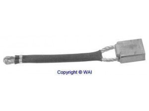 WAIglobal 68-9209 anglies šepetėlis, starteris