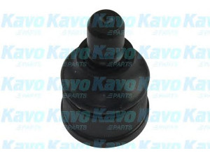 KAVO PARTS SBJ-4528 atramos/vairo trauklė
LC6234550
