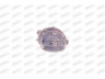PRASCO RN3044604 priekinis žibintas 
 Kėbulas -> Priekinis žibintas/dalys -> Priekinis žibintas/įterp.
7700419307, 7701046215