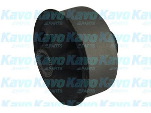 KAVO PARTS SCR-9088 valdymo svirties/išilginių svirčių įvorė 
 Ašies montavimas/vairavimo mechanizmas/ratai -> Valdymo svirtis/pasukamosios svirties sujungimas -> Montavimas/sutvirtinimas
4806813010BUSH, 4806913010BUSH