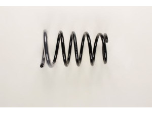 BILSTEIN 36-216321 spyruoklė 
 Pakaba -> Spyruoklės
55020-8H762