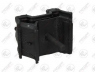 FORTUNE LINE FZ90752 variklio montavimas 
 Variklis -> Variklio montavimas -> Variklio montavimo rėmas
163 240 04 17, 1632400417