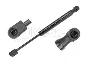 MEYLE 540 910 0016 dujinė spyruoklė, gaubtas 
 Kėbulas -> Dujinės spyruoklės
30649516