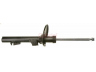 amortizatorius