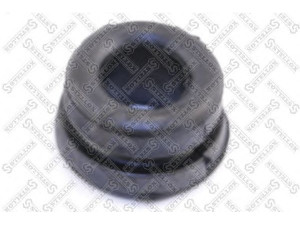 STELLOX 87-98178-SX valdymo svirties/išilginių svirčių įvorė 
 Ašies montavimas/vairavimo mechanizmas/ratai -> Valdymo svirtis/pasukamosios svirties sujungimas -> Montavimas/sutvirtinimas
4867430040
