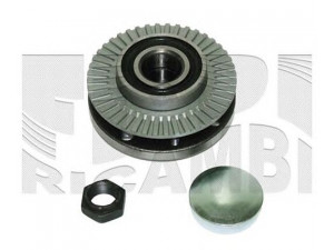 CALIBER RC9060 rato guolio komplektas 
 Ašies montavimas/vairavimo mechanizmas/ratai -> Rato stebulė/montavimas -> Rato guolis
46425959, 60811481