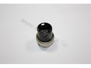AUTOMEGA 109190501251 siuntimo blokas, aušinimo skysčio temperatūra
251919501, 251919501, 251919501
