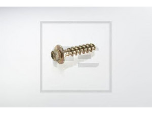 PE Automotive 065.103-00A varžtas
4 343 2034 00, 4 343 2037 00
