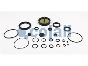 COJALI 6014429 remonto komplektas, greitinimo vožtuvas