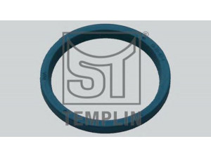ST-TEMPLIN 04.100.0860.000 tarpiklis
0000042001982, 4200 1982