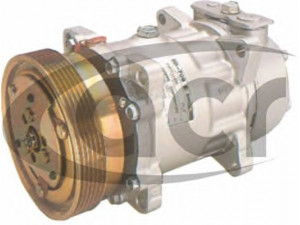 ACR 130140 kompresorius, oro kondicionierius 
 Oro kondicionavimas -> Kompresorius/dalys
7700272438