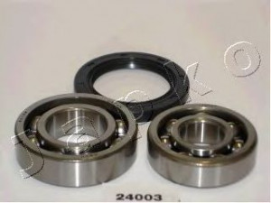 JAPKO 424003 rato guolio komplektas 
 Ašies montavimas/vairavimo mechanizmas/ratai -> Rato stebulė/montavimas -> Rato guolis
91053-634-008