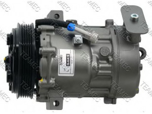TEAMEC 8646020 kompresorius, oro kondicionierius 
 Oro kondicionavimas -> Kompresorius/dalys
1854154, 6854082, 13208187, 93197128