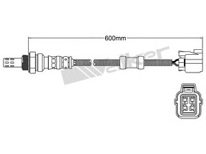 WALKER PRODUCTS 250-24446 lambda jutiklis 
 Variklis -> Variklio elektra
36531 PLD 013, 36531PLD003, 36532 PNB G00