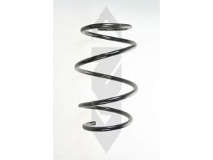 SPIDAN 56969 spyruoklė 
 Pakaba -> Spyruoklės
31 33 6 757 782