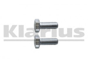KLARIUS 430691 varžtas, išmetimo sistema
