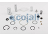 COJALI 6012089 remonto komplektas, stovėjimo stabdžio vožtuvas
9932418